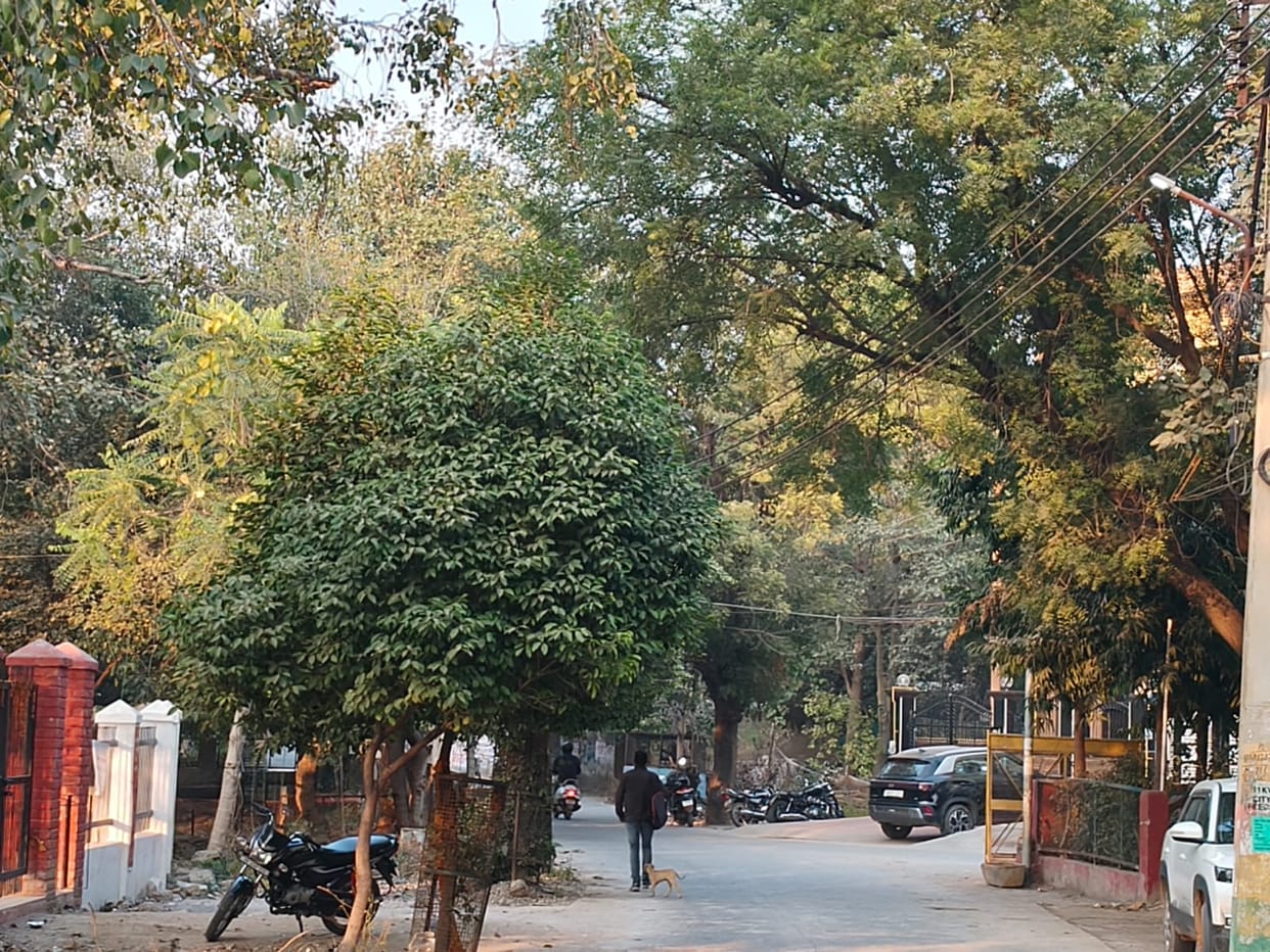 Women of self-help groups will play an important role in making the city green.