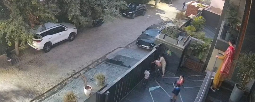 Woman beats 12-year-old boy, tears shirt and vest