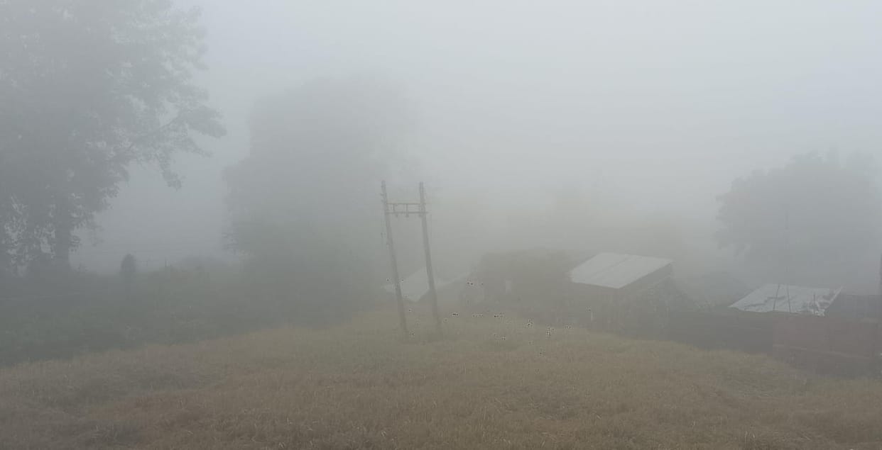 Dense fog slows down vehicle speed