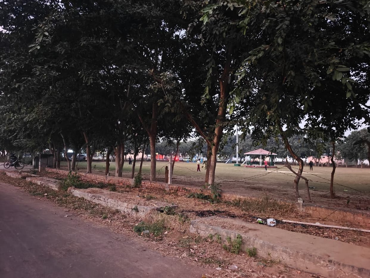 Sector-6 parks will be developed, Rs 91.24 lakh will be spent