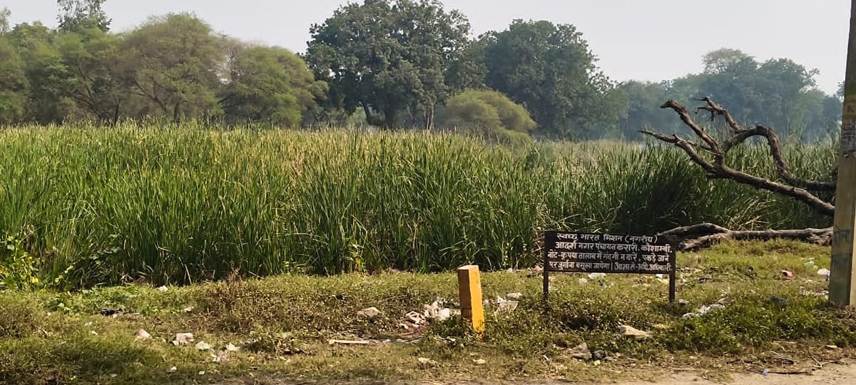 Encroachment threatens the existence of ponds