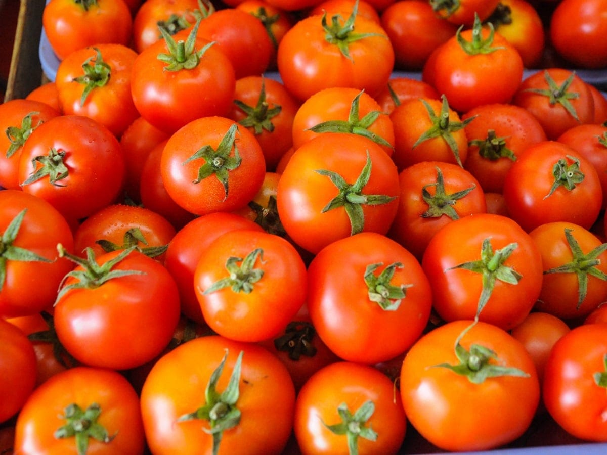 Vegetables become expensive in mandis, tomato prices reach 100