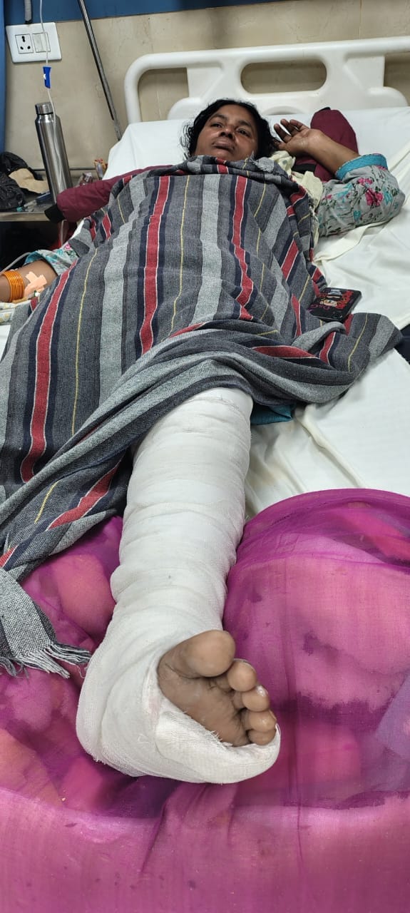 Three children injured in monkey attack, woman falls from roof