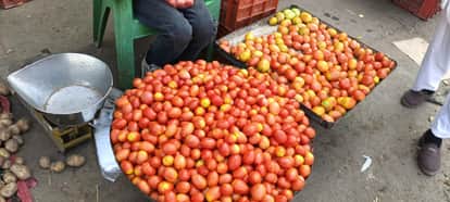 Local tomatoes are being sold at Rs 80 per kg