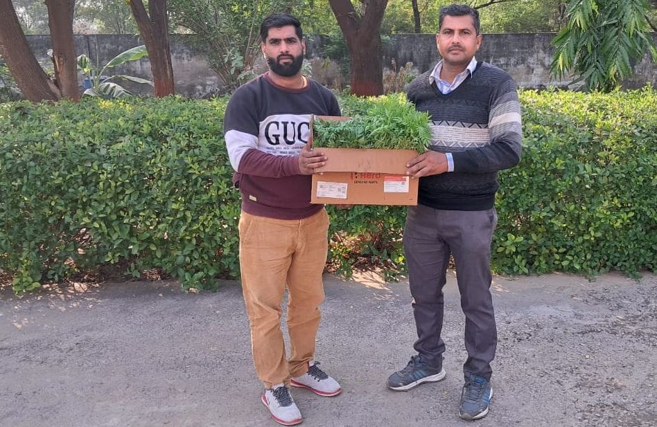 Free distribution of flowering plants begins
