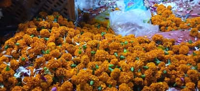 Puja Samagri Reuse Easy Ways to Reuse Flowers, Haldi & Kumkum After Puja