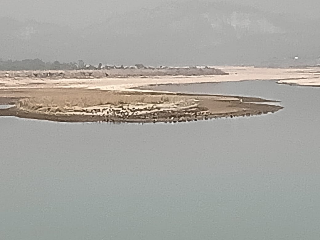 Hathinikand barrage platform empty, migratory birds disappear