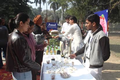 Tasted goat milk products, learned about dairy technology
