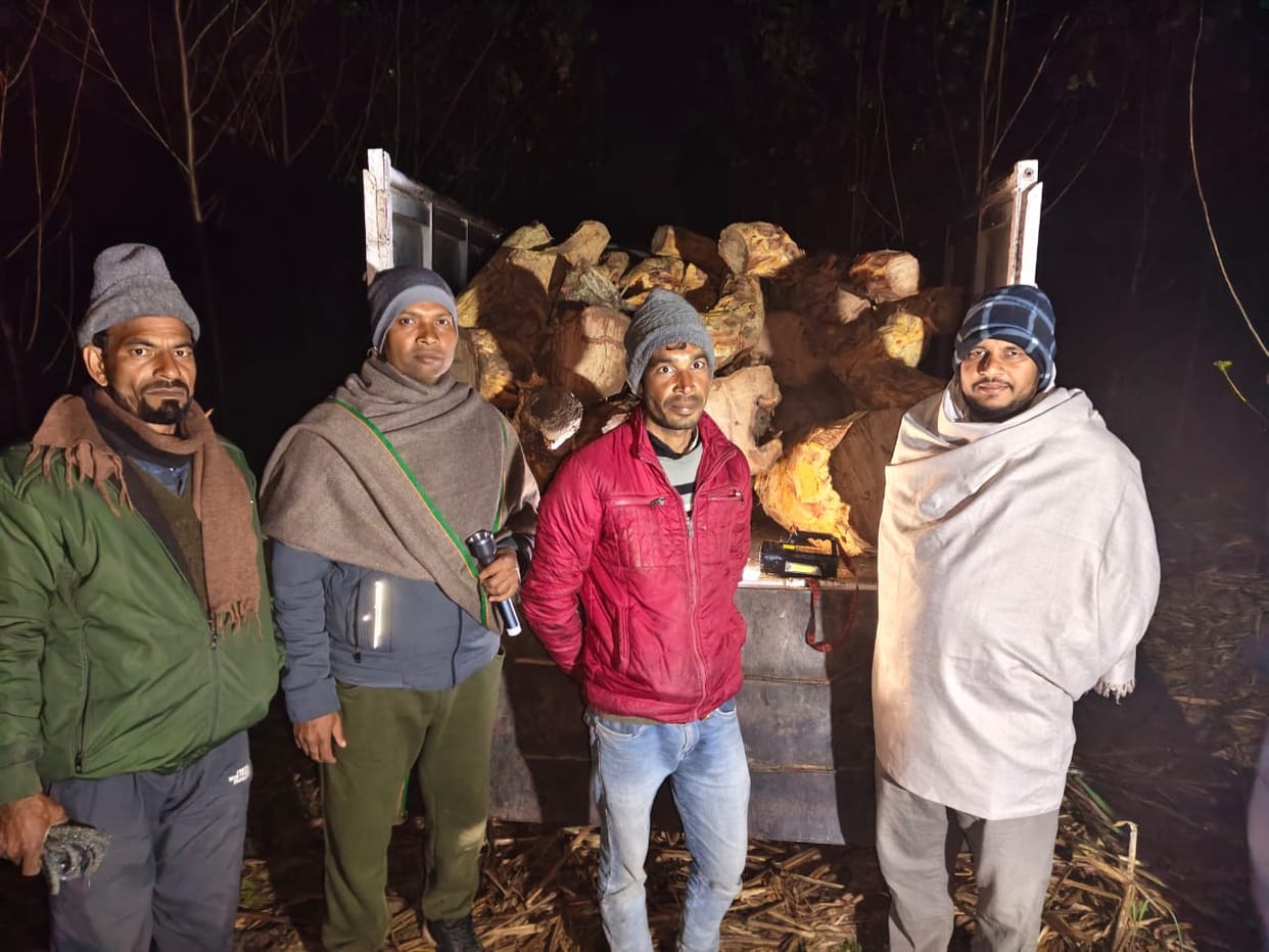 Two khair trees cut down from Sandhae forest, car loaded with wood recovered