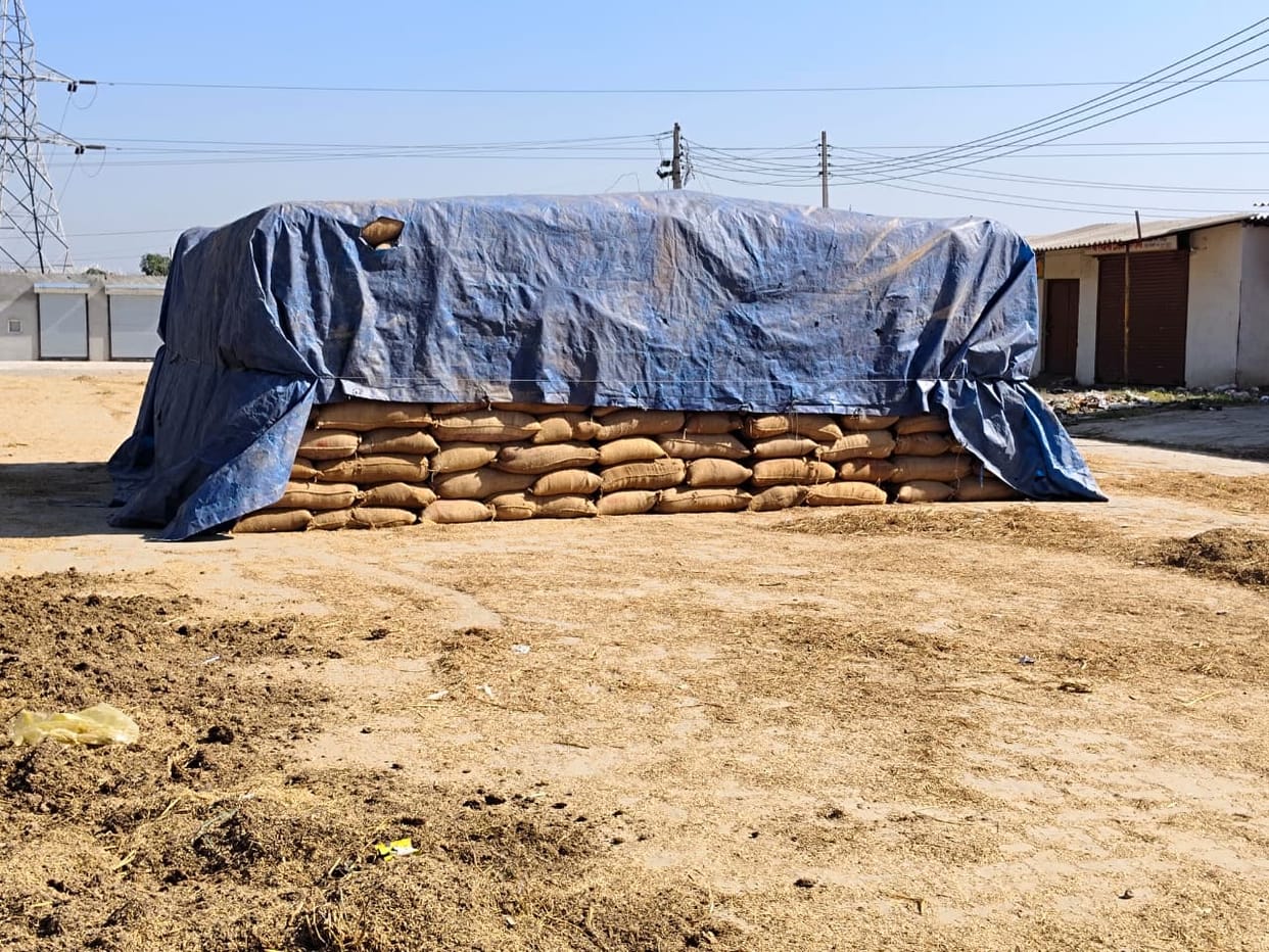 Paddy scam: Who will get the seized paddy, decision will be made tomorrow