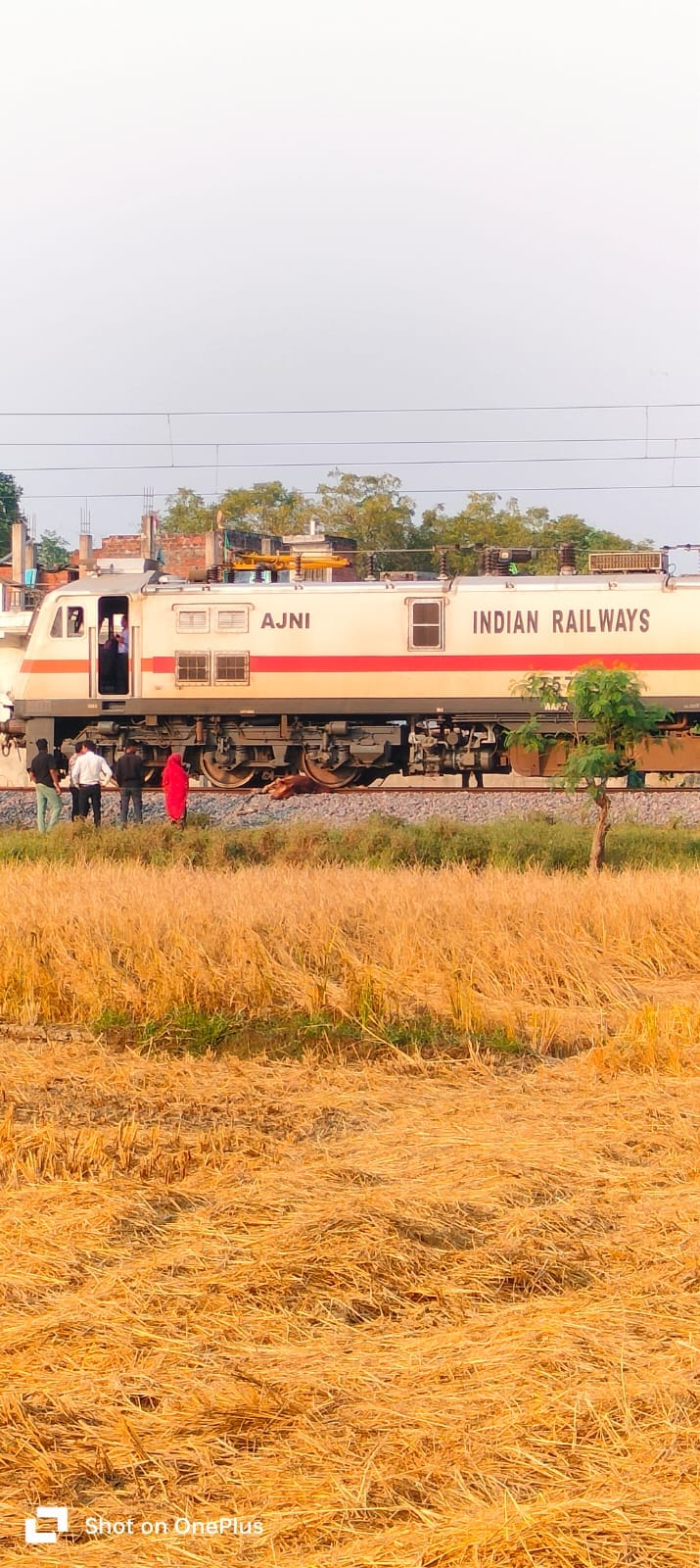 Yashwantpur Express collides with a bull, halted for an hour