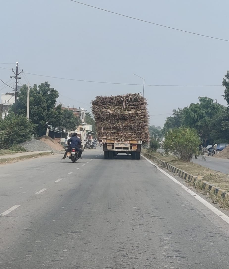 Overheight sugarcane-laden trucks and trailers are running on the roads, posing a threat.