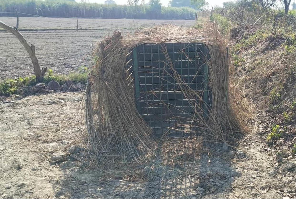 Now leopard seen in Birahimdiha and Indanapur, cages installed
