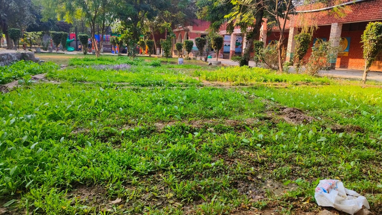 First he made his own school green, now he will make another one green