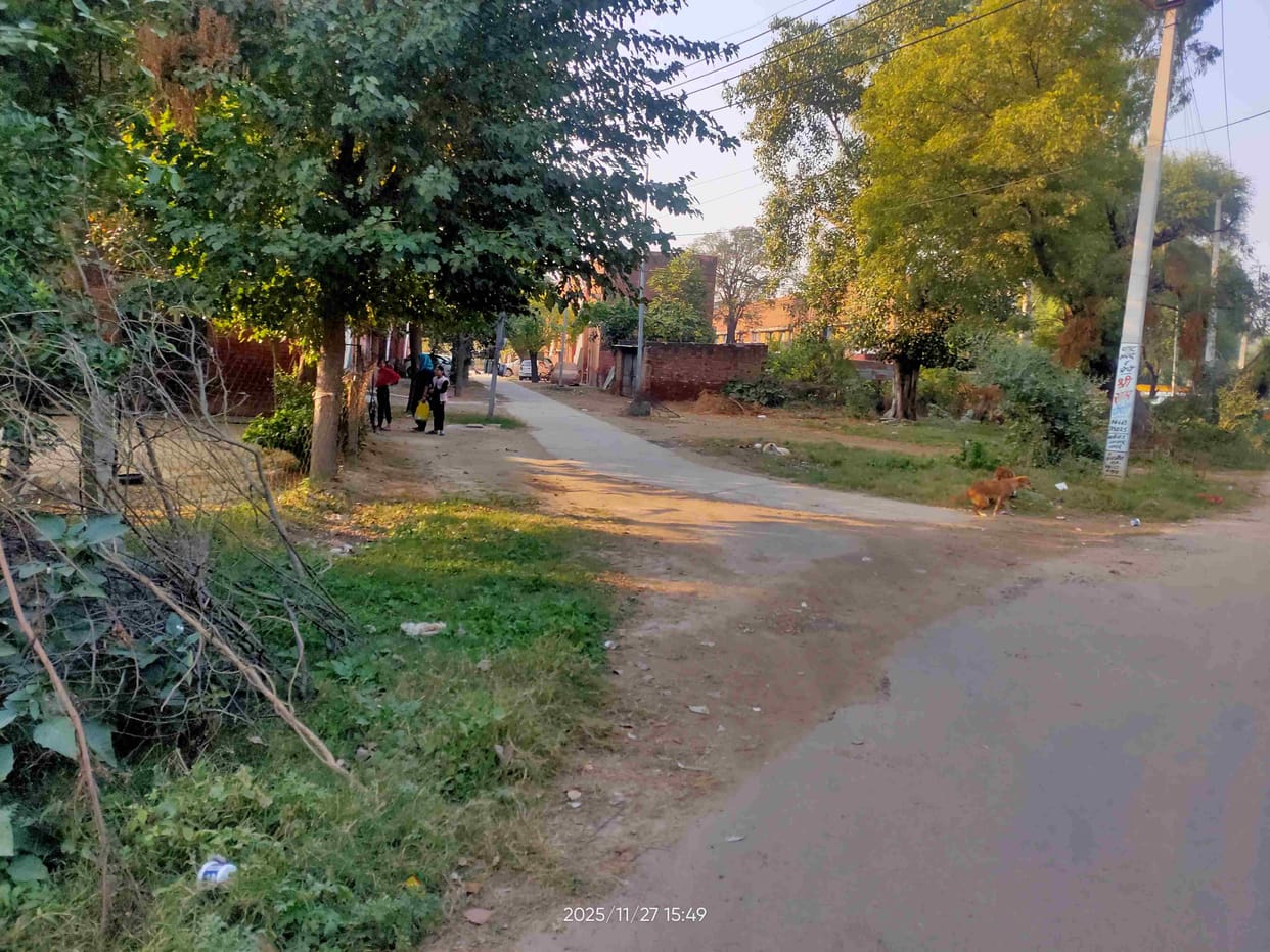 Special repair of roads will be done in Mini Secretariat Colony
