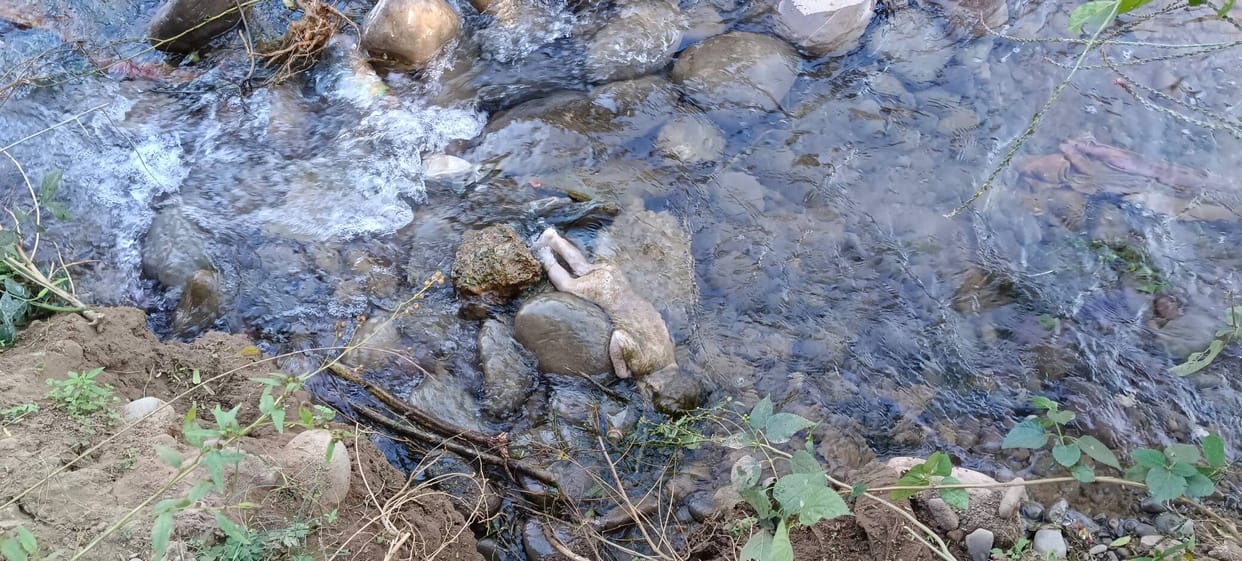 The body of a newborn was found face down in a drain, with his hands wrapped around his neck due to the cold.