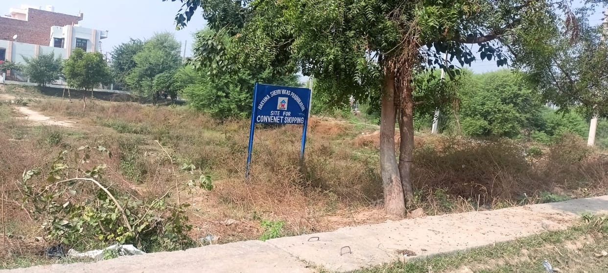 Development work will be done in HUDA sectors with an expenditure of Rs 5.76 crore.