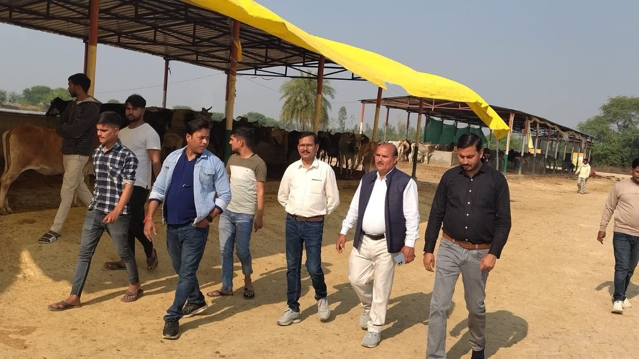 Five caretakers jailed for cow deaths