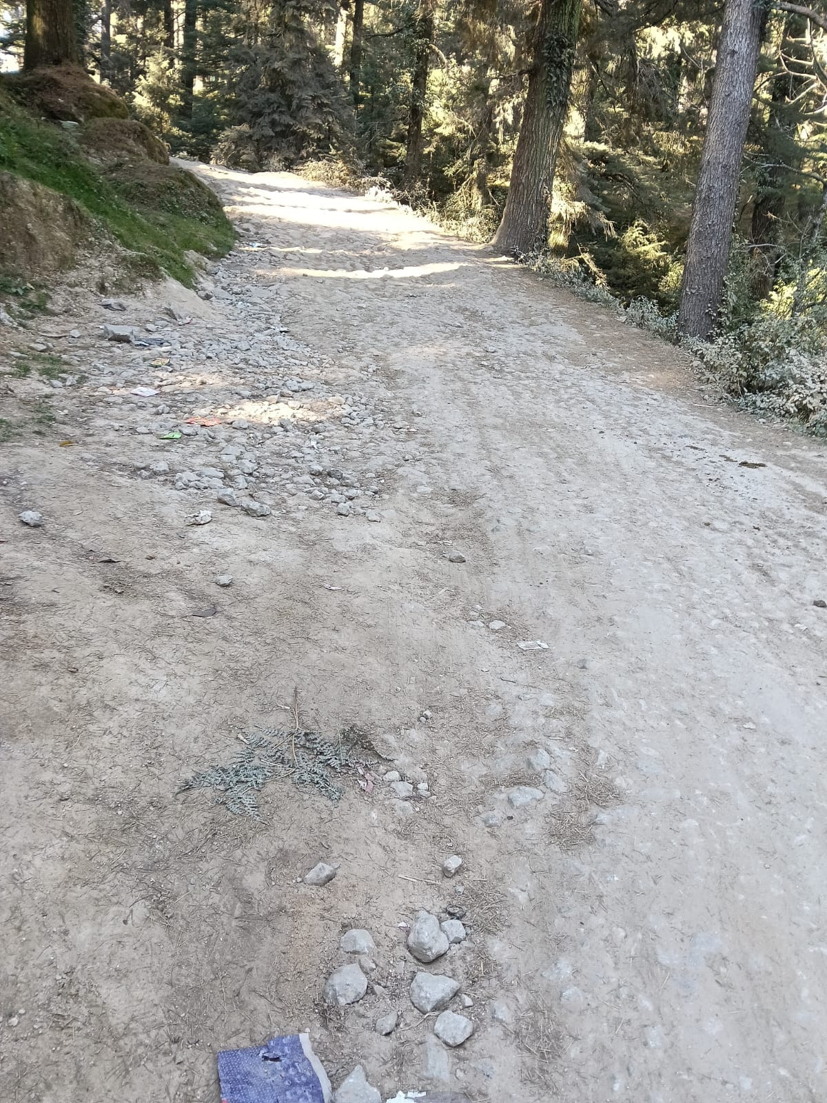 Khajjiar's condition, road potholes being filled with soil