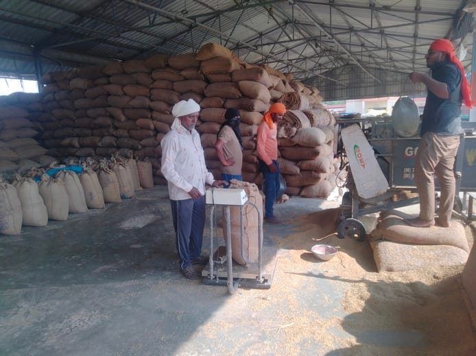 Siddharthnagar News: Paddy procurement picks up pace in Sahyapur, farmers sell 3104 quintals of grain