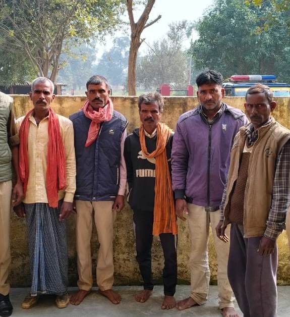 17 cattle freed, five smugglers arrested