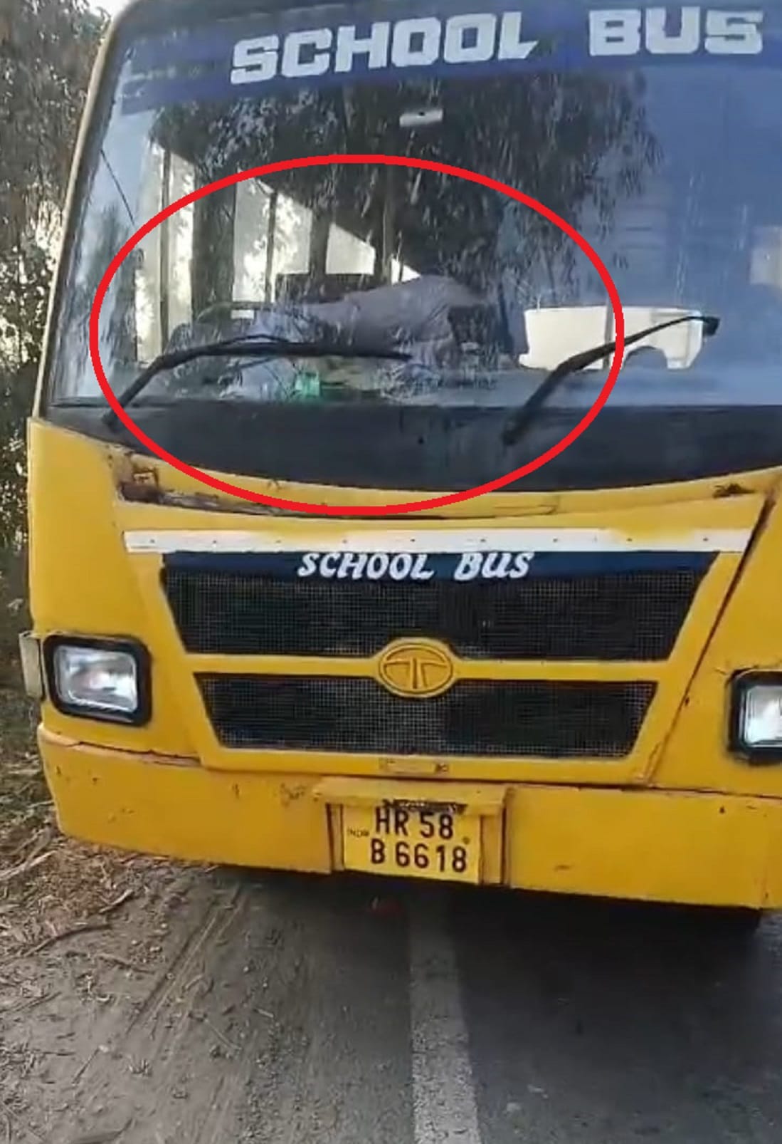 The manager dismissed the driver found unconscious in a private school bus.