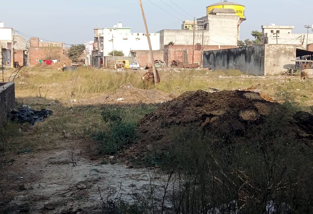 Kanha Gaushala will be built, will get rid of stray animals