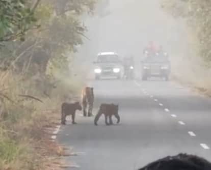 Tourism in district.