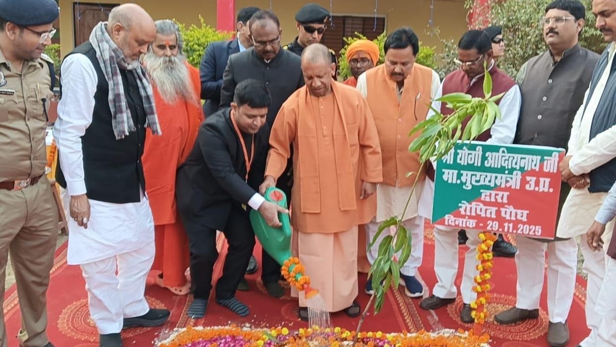 After planting a sapling, the