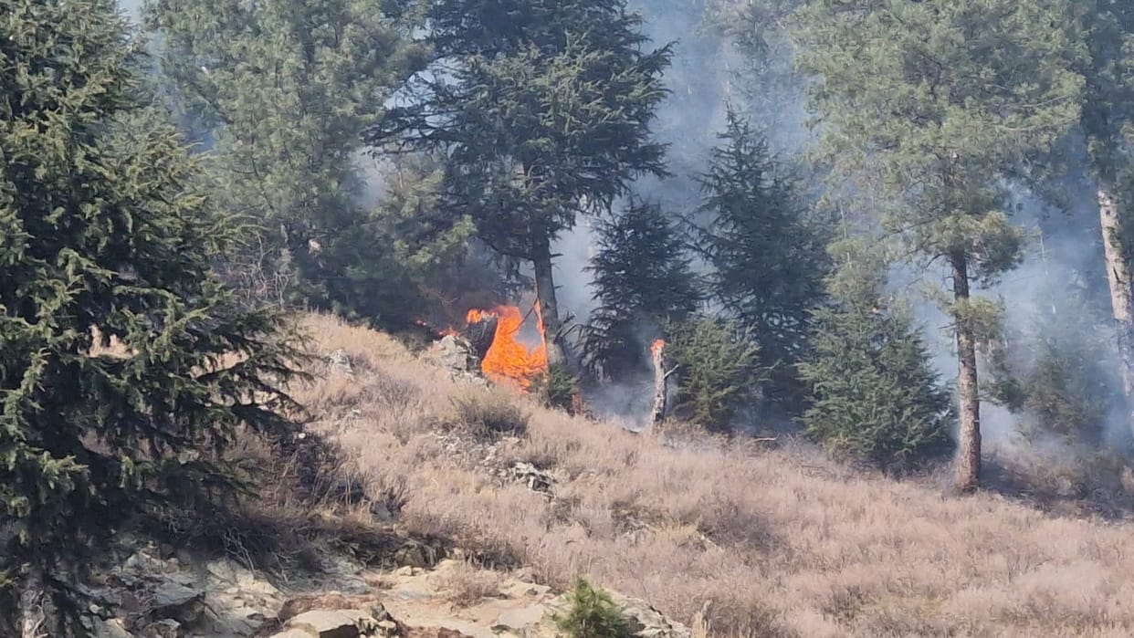 Srinagar, Nogam Forest, Fire Still at Third day
