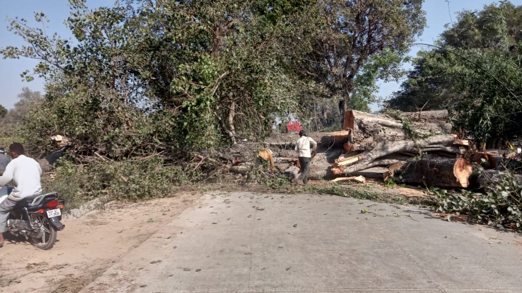 Khudaganj-Nigohi road remained closed for five hours due to tree cutting.