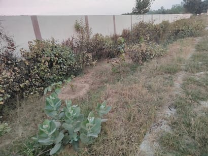 Lack of facilities in Ladwa's only sports stadium