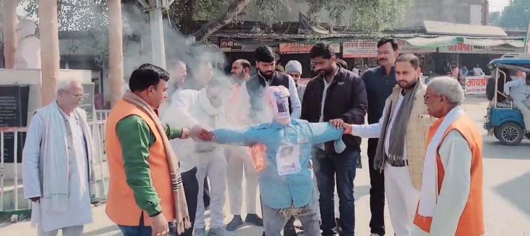 Memorandum submitted against IAS, effigy burnt