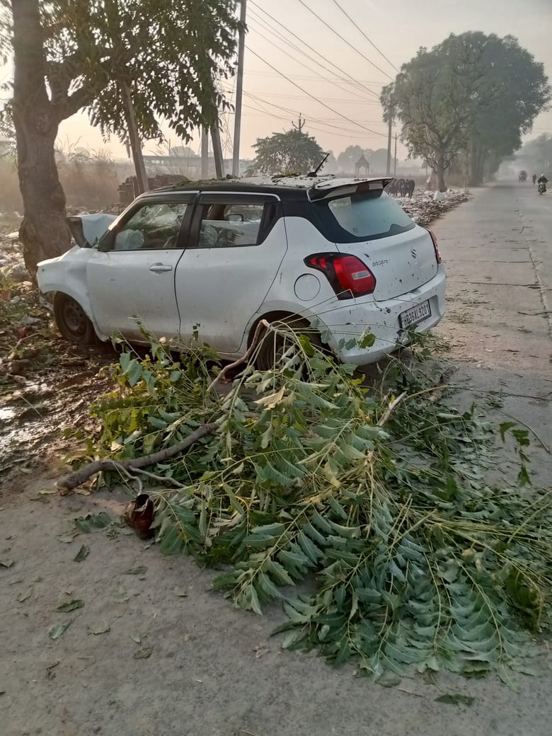 While trying to save a bull, the car collided with a tree, injuring the youth.