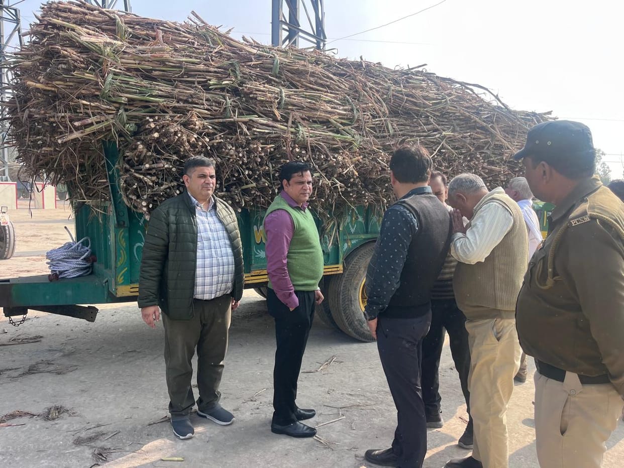 Four trolleys of damaged sugarcane were found in the sugar mill.