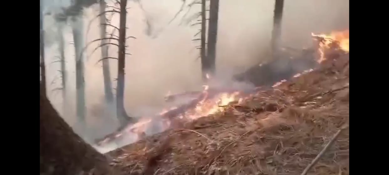 Srinagar, Gurej Forest, Fire Continue on Fourth day