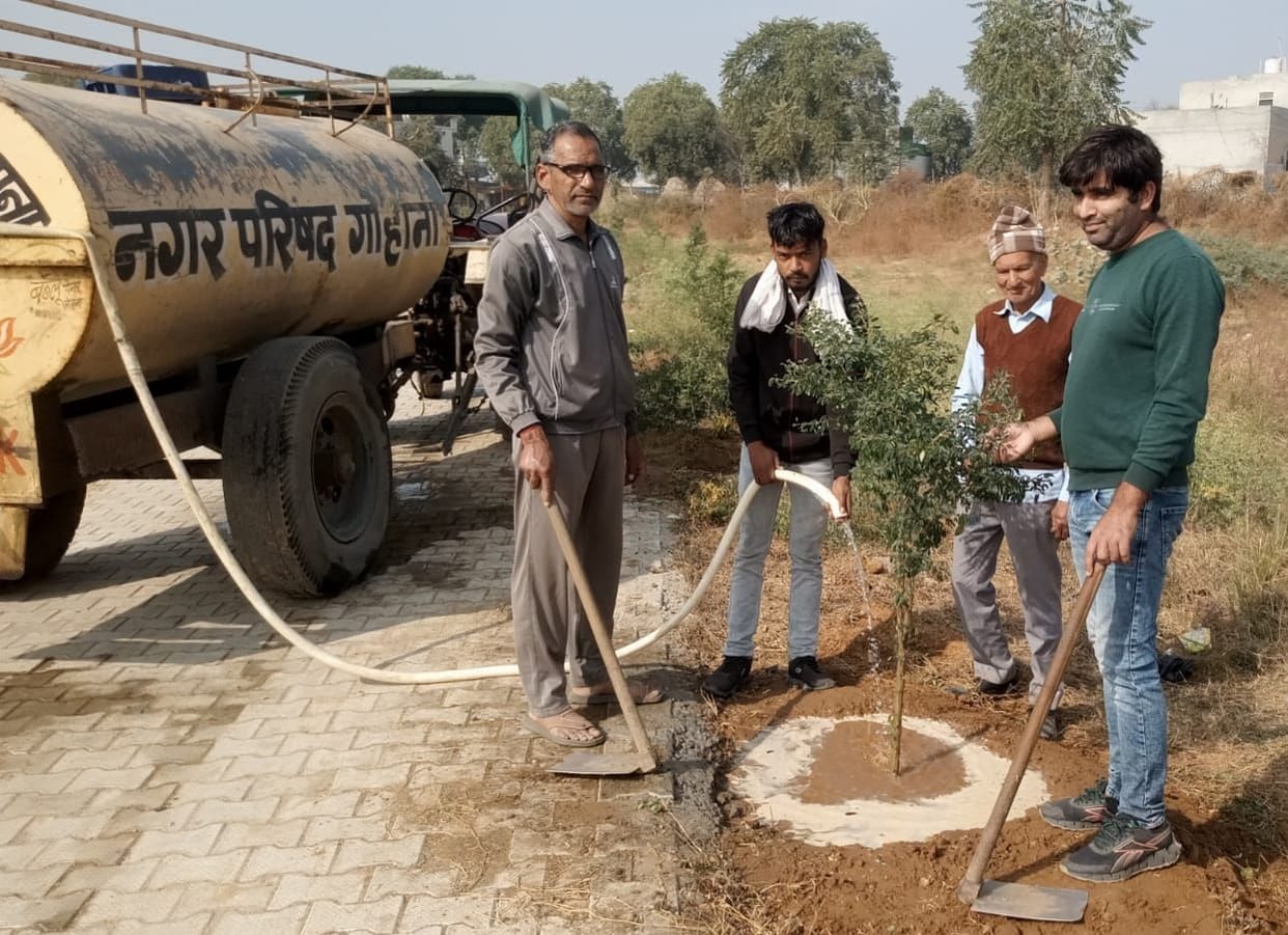 Social Welfare Organization planted trees