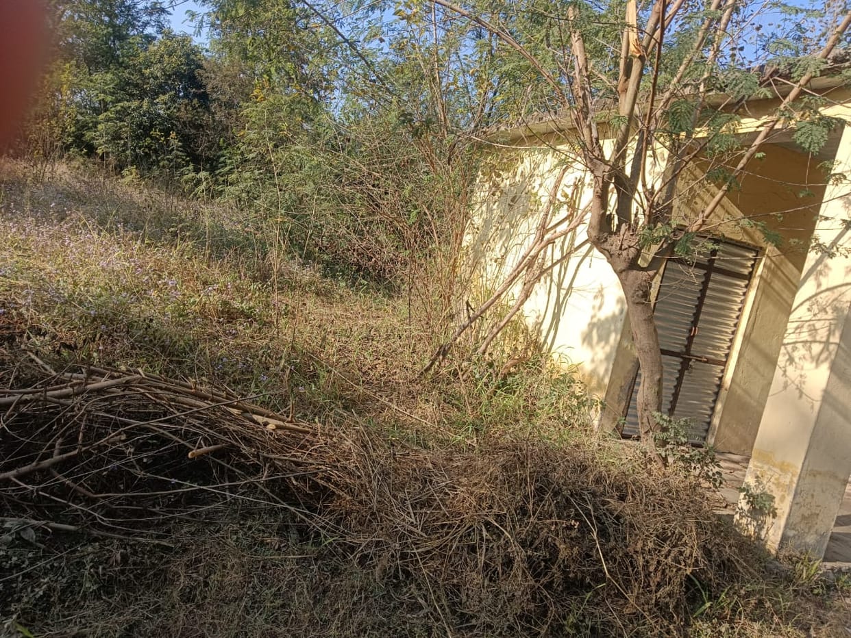 Work on the veterinary dispensary in Dahd is pending.