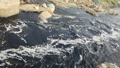 Factories are releasing dirty water. Ami River has turned black in Gorakhpur
