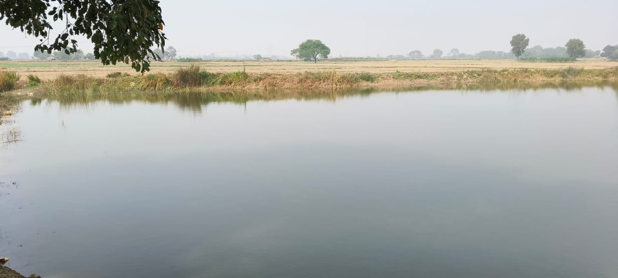 Amrit Sarovar: Not a single brick was laid... Rs 12 lakh spent