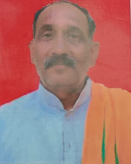 Priest dies in bee attack