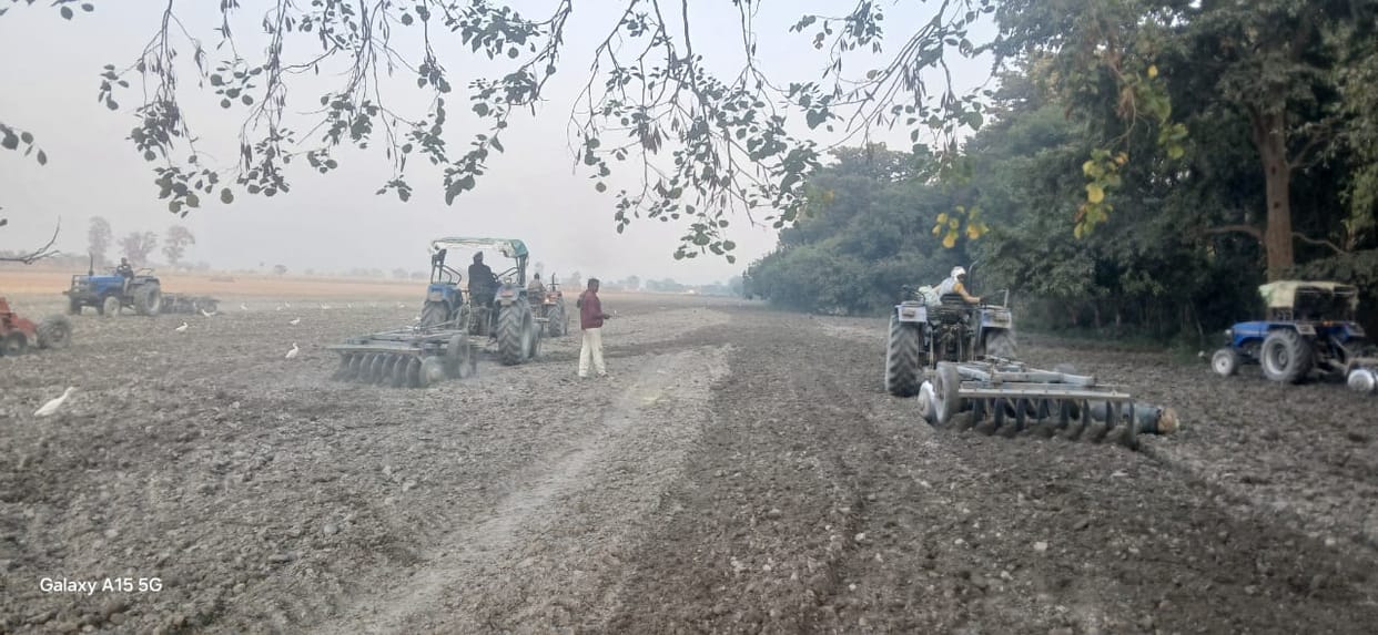 Animals will get plenty of fodder, farmers will get improved seeds