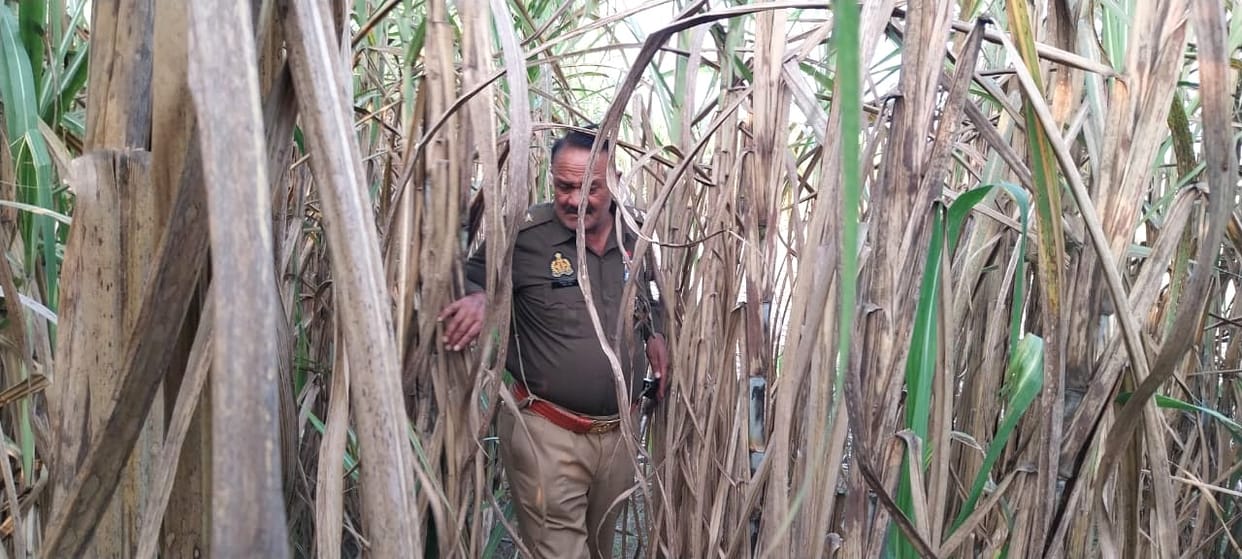 Police searched the fields all day in search of the missing boy.