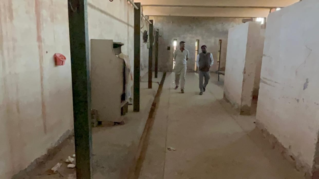 Preparations to control stray dogs... A dog stay center will be set up in Natar, chief sanitation inspector checked the arrangements in the slaughterhouse