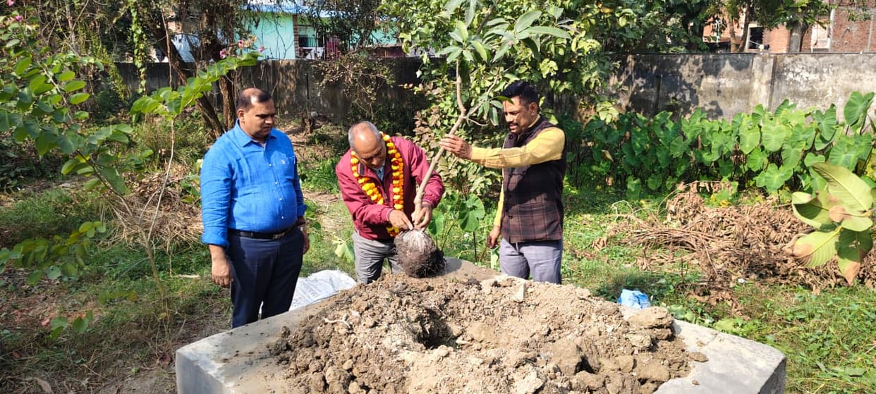 Retired Inspector planted a tree in the police lines.