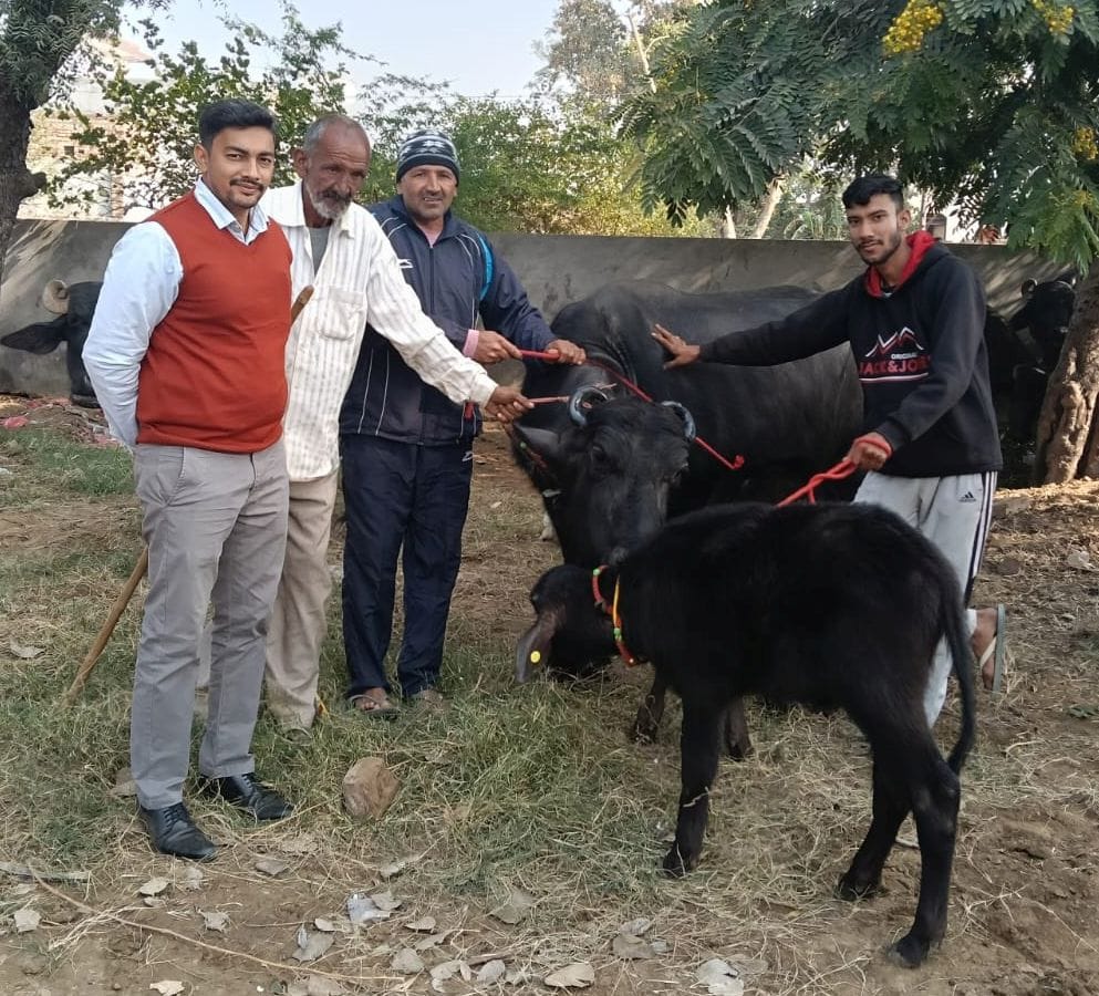 Two buffaloes of Raju of Biran won a prize of 20,000 rupees each.