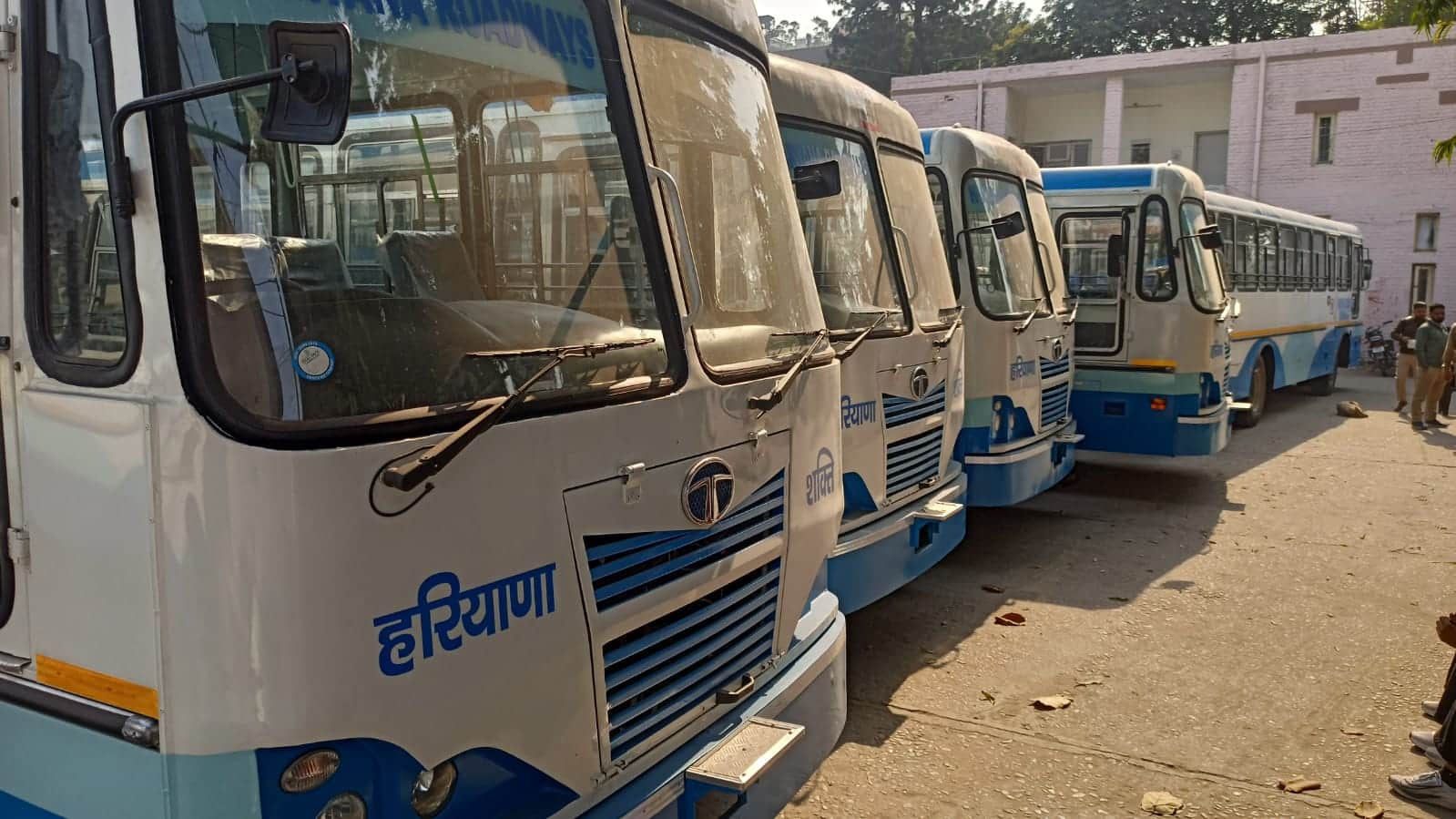 यमुनानगर रोडवेज वर्कशॉप में खड़ी बीएस-6 नई बसें। संवाद