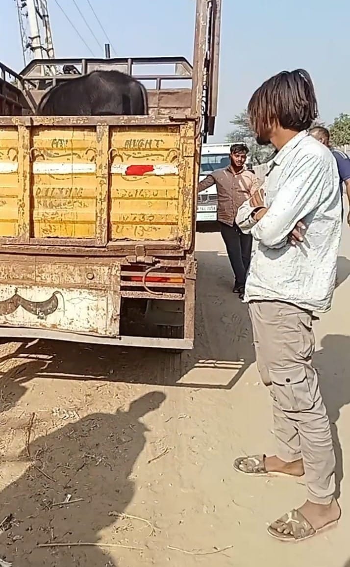 Villagers arrested 6 cattle buyers on charges of recce