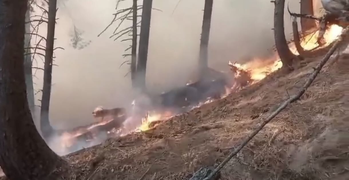 Bandipora, Gurej Forest, Fire At Fifth Day