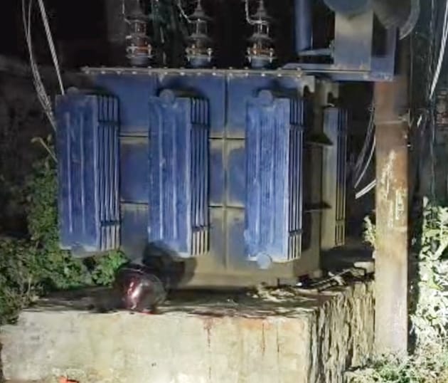 Two radiology trainees died after colliding with a transformer platform.
